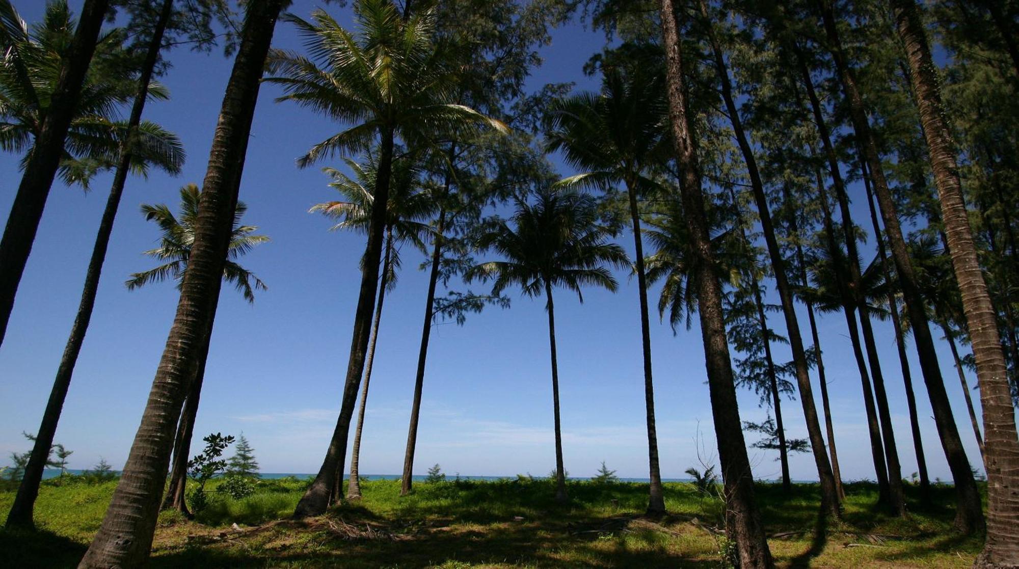 Khaolak Blue Lagoon Resort - Sha Extra Plus Khao Lak Eksteriør billede